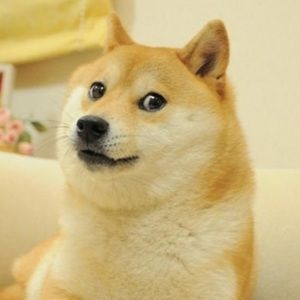 Meet your Posher, Maritza